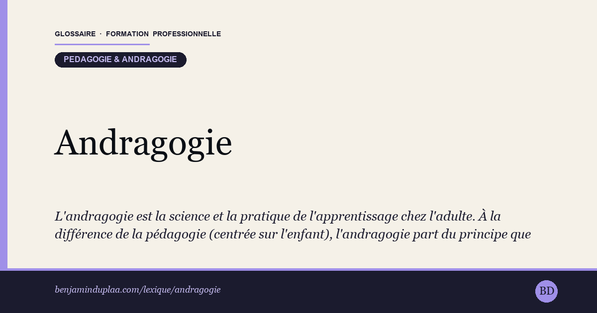 Andragogie — Définition illustrée du glossaire de la formation professionnelle (catégorie Pédagogie & andragogie) par Benjamin Duplaa, directeur IFPA Poitiers